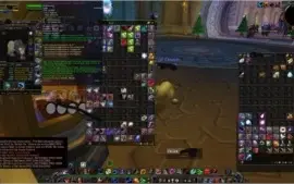 Acc com druida feral e pala Retri wow brasil