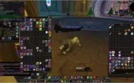 Acc com druida feral e pala Retri wow brasil