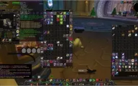 Acc com druida feral e pala Retri wow brasil