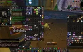 Acc com druida feral e pala Retri wow brasil