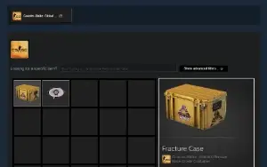 CSGO PRIME, Global Elite, Steam Level 10, 13 jogos
