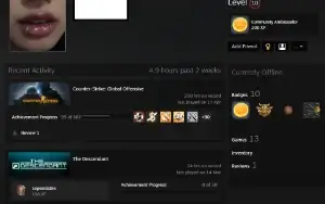 CSGO PRIME, Global Elite, Steam Level 10, 13 jogos