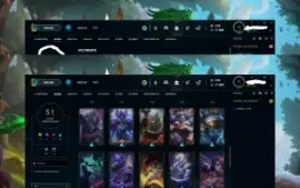 Vendo conta mono Malzahar