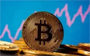 Vendo sinais de criptomoedas dessa plataforma.