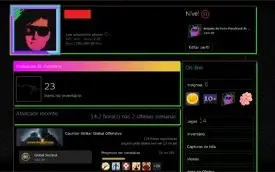CONTA STEAM CSGO PRIME |AK 1|LEVEL 15 GC|LEVEL 11 NA STEAM