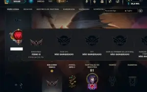 Ferro 2 com 70 Champs e 20 Skins
