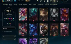 Unranked com TODOS os Champs e 287 Skins ( SUP / ADC / JG )