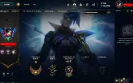 163 Skins Lvl 374
