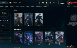 163 Skins Lvl 374