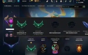 Esmeralda 1 com TODOS os champs e 496 Skins (SUP / ADC / JG)