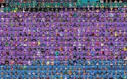 Fortnite 815 Skins(honor,WILDCAT,Galaxy,Renegade,) minty