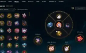 Conta Lol Gold + 177 Skins + Todos Campeões + Nivel 521