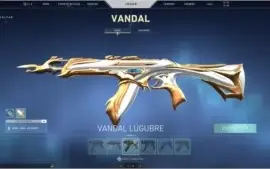 CONTA COM MAIS DE 25 SKINS | + DE R$800 GASTOS