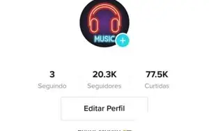 Conta TikTok +20k de Seguidores Engajada