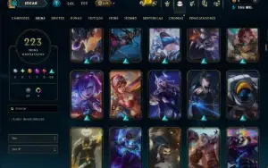 Bronze 2 com TODOS os Champs e 223 Skins ( SUP / JG )