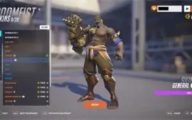 OW2 WIDOWMAKER NOIRE/WINSTON BLIZZCON 310+ skins