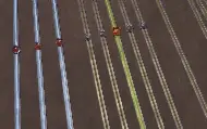 2 Contas Albion, 350M De Prata, 2.3B Fama Total, Skin Top1.