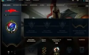 Conta level 30 com 29 champ