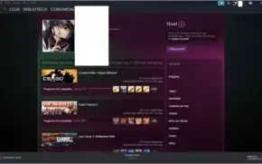 CONTA LVL 13 GC, STEAM 300 HORAS