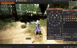 Comta End Game Boa Pra Fazer Pvp E Grind/Não Steam