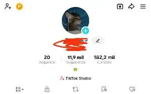 Conta Tik Tok Com Mais De 10K De Seguidores Monetizando