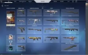 Conta valorant com skin