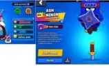 CONTA BRAWL NVL 181 + 50 BRAWLERS FULL