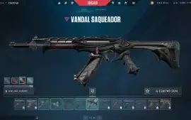 Conta de Valorant Preço Negociável