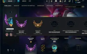 Mestre com 30 Champs e 7 Skins
