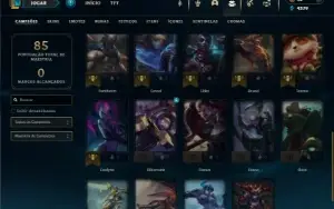 Mestre com 30 Champs e 7 Skins