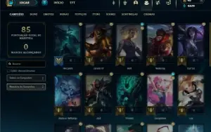 Mestre com 30 Champs e 7 Skins