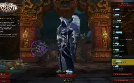Conta World Of Warcraft (Conta Blizzard).