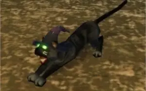 Mascote Familiar Felino
