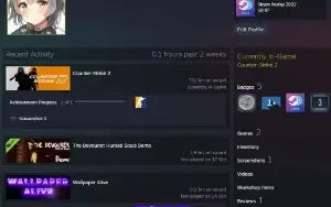 Conta cs go prime com medalhas
