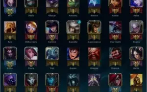 Conta Platina V