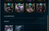 Conta Platina V
