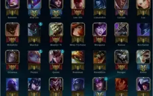 Conta Platina V