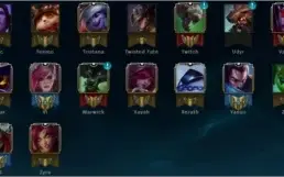 Conta Platina V