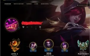 Conta Platina V