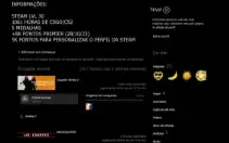 Conta Cs2 Prime + 8K Pontos Premier + 5 Medalhas + 1000 Hrs