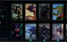 CONTA PLATINA 4