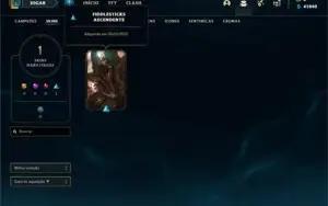 Conta ouro 4 com 21 Champs e 1 Skin + 3 Fragmentos