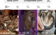 Conta Tiktok Monetizada