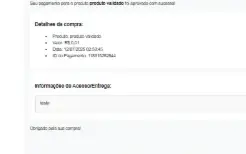 Script Checkout Cartão & Pix Entrega De Produtos Digitais