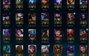 Conta Plat 4 com 89 champs