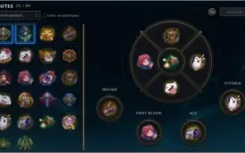 Conta Plat 4 com 89 champs