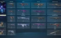 Conta valorant dima 1, passe + skins compradas + faca xenoc