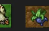Bot Catch Pxg/Otp