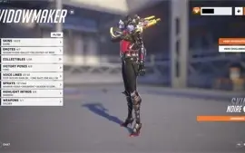 OW2 WIDOWMAKER NOIRE/WINSTON BLIZZCON 300+ skins
