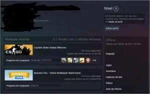 CONTA CSGO [ PRIME ATIVO ] + MEDALHA DE SERVIÇO 2020